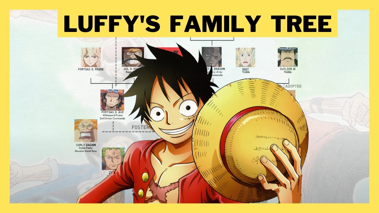 One Piece - Dragon's true identity, Monkey D. Family tree part 1