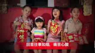 CNY 2014 He Xin Nian