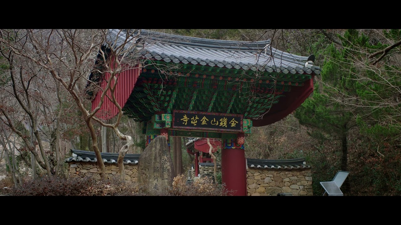 (Arri Alexa mini LF) 금둔사의 봄