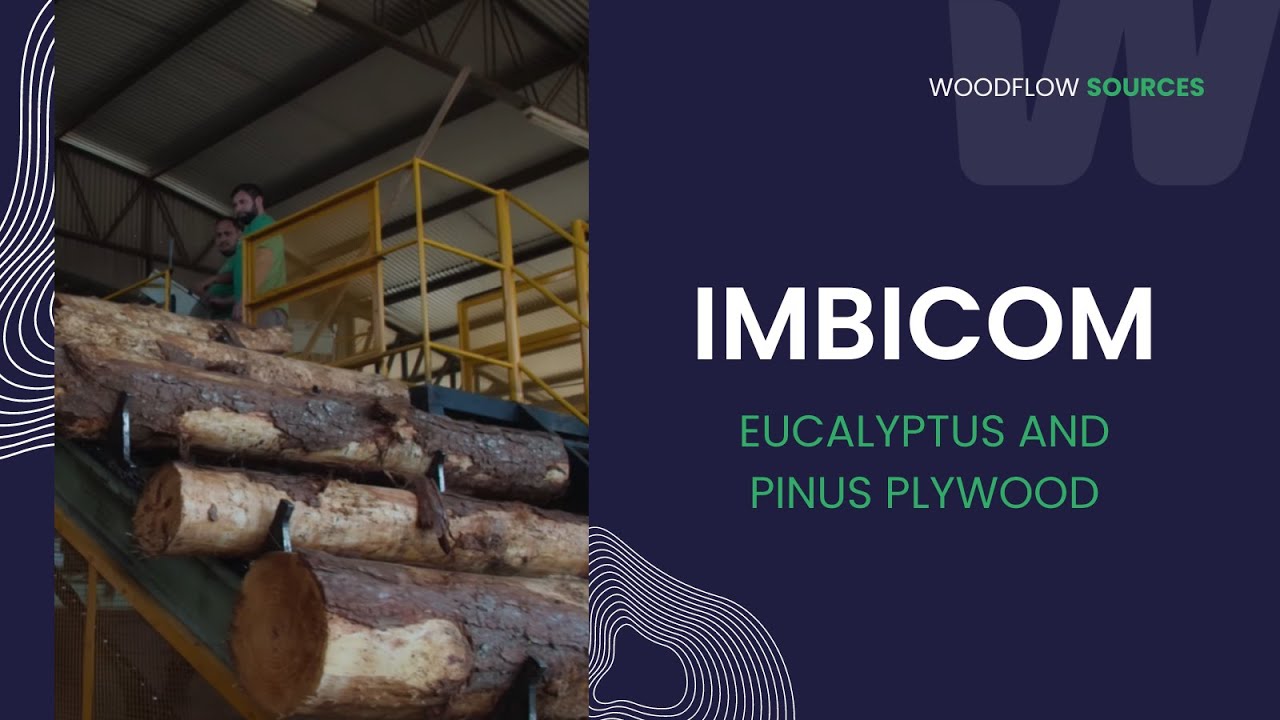 Exploring Imbicom: Eucalyptus and Pinus Plywood Manufacturing and Export