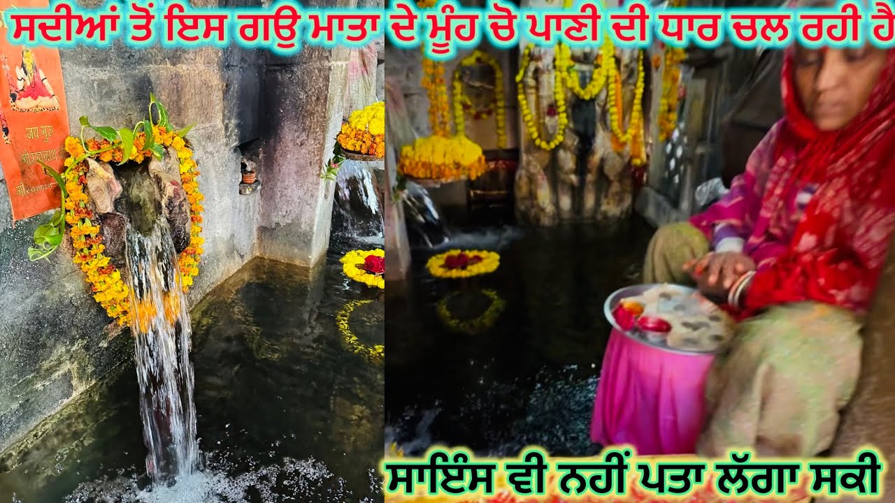 ਸਦੀਆਂ ਤੋਂ ਇਸ ਗਉ ਮਾਤਾ ਦੇ ਮੂੰਹ ਚੋ ਪਾਣੀ ਦੀ ਧਾਰ ਚਲ ਰਹੀ ਹੈ ਸਾਇੰਸ ਵੀ ਨਹੀਂ ਪਤਾ ਲੱਗਾ ਸਕੀ