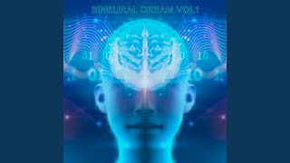 02 BD T