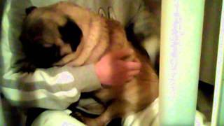 Capture 20120203