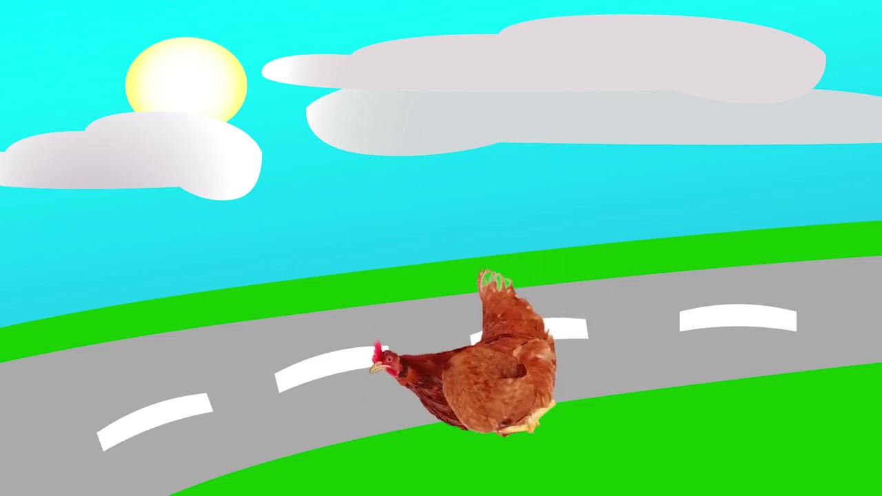 Chicken After Effects Duik Bassel Rig and Bones