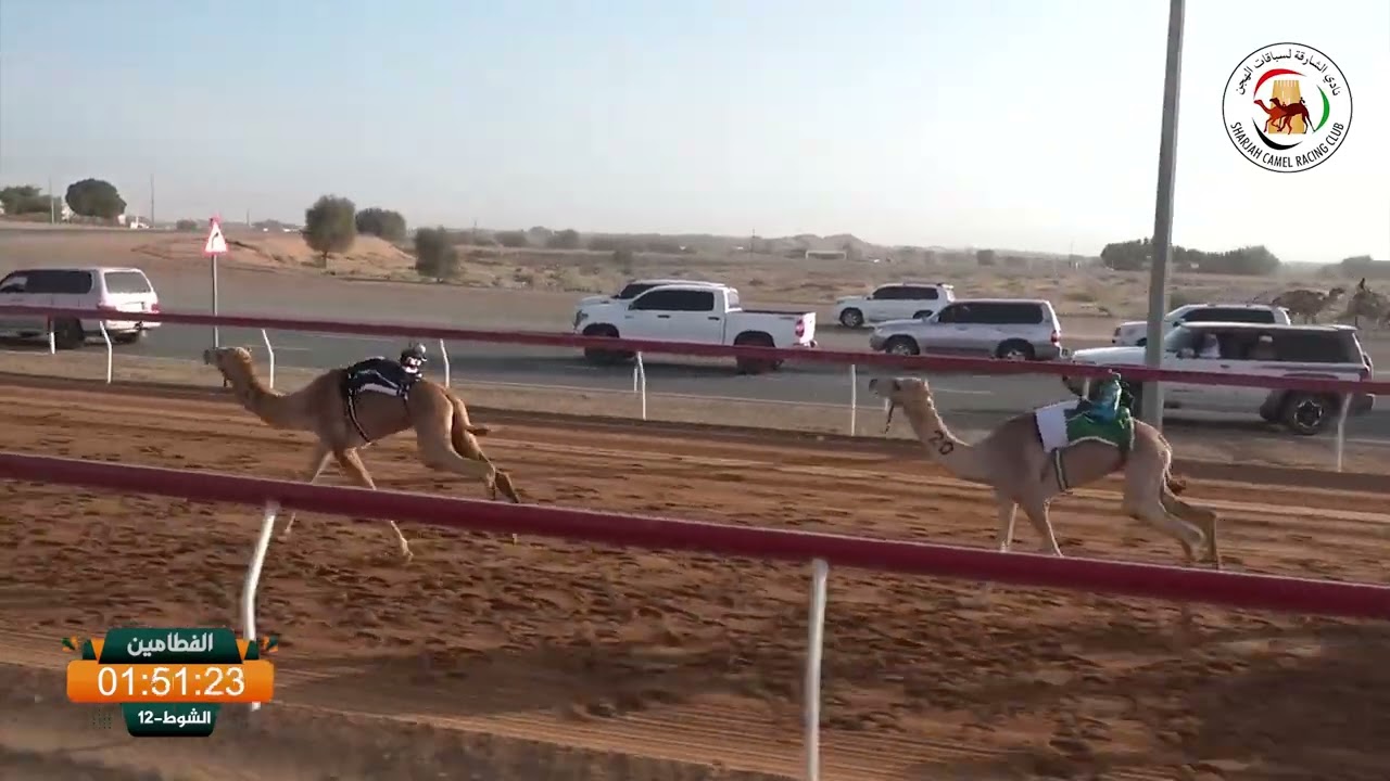 ميــدان الذيد - ش 12 الفطامين 07/03/2026 مايهاب/عبدالله سالم دلموج اجتبيالتوقيت : 2:13:85