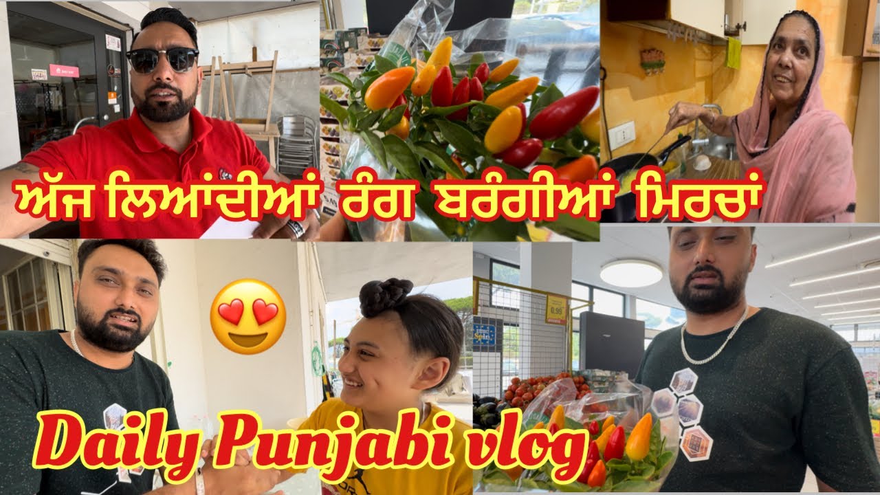 ਅੱਜ ਲਿਆਂਦੀਆਂ ਰੰਗ ਬਰੰਗੀਆਂ ਮਿਰਚਾਂ😃DAILY PUNJABI VLOG😍#familyvlog #viral #trending