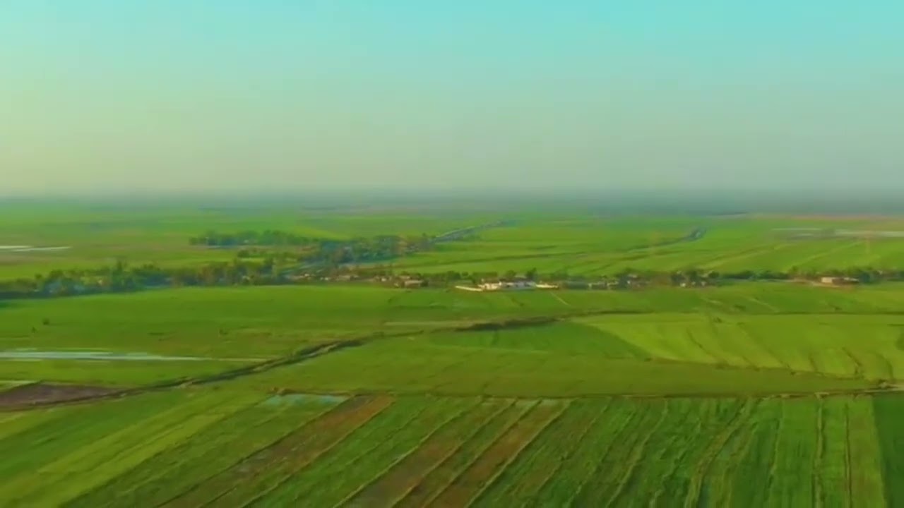 ارياف العراق زراعة الرز في قضاء المشخاب