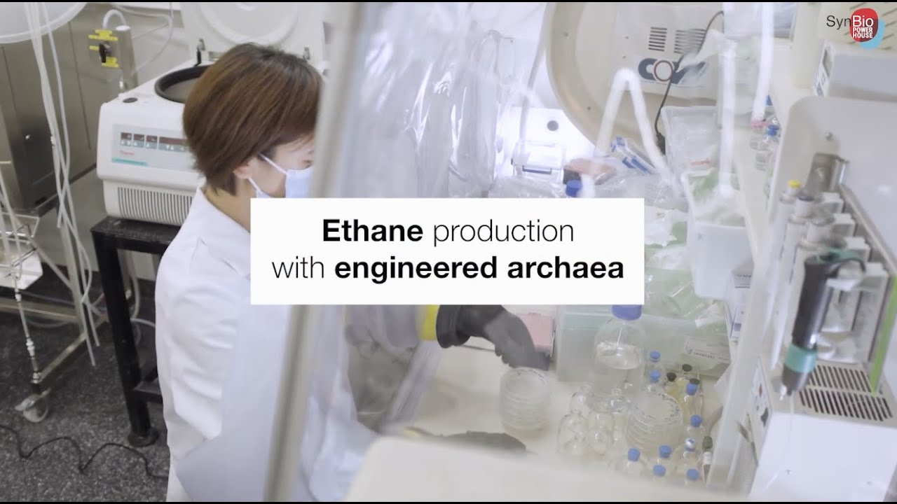 Ancient archaea harnessed for fuels production 