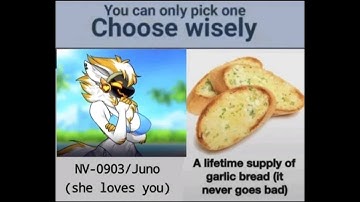 Shitpost Status Compilation (Season 3 Episode 20) [Kalo/Savior Collab Special]