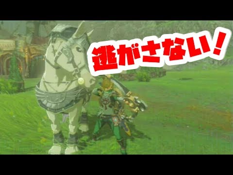 ゼルダの伝説 最強の馬装備を取りに行く 意外とムズイ ミニゲーム ブレスオブザワイルド Naotin Youtube