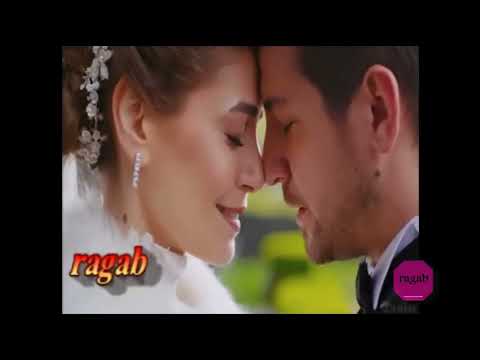 يا حب عمري انت شريك الروح يا عمري عــم جــن علــيك عــم اشتـاقــلك