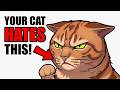 Stop Doing These 6 Things — Your Cat HATES Them