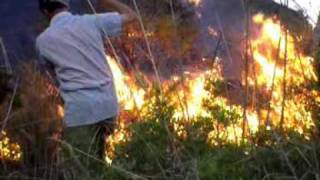 karia arekmane incendi 3