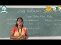 DT Based Activity | MFDA | SNS Institutions