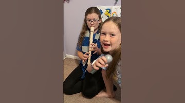 Bluey Theme Song on Alto Recorder #bluey #blueybingo #recorder #shorts