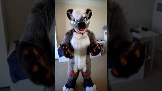 Talking Furrie!