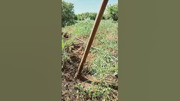 #القرآن_الكريم #الجزائر #تلاوة #المغرب #السعودية #القرآن #quran #اكسبلور #محمد_الفقيه