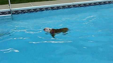 Molly Weisman Swimming