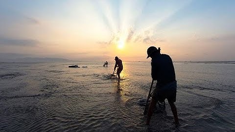 HÀNH TRÌNH TRÃI NGHIỆM NGHỀ ỐC GẠO( ỐC RUỐT) TẠI BÌNH SƠN, QUẢNG NGÃI
