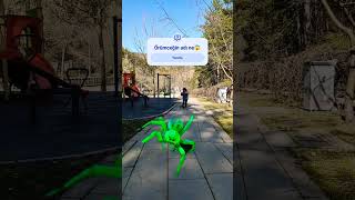 Dev Örümceği Kovaladı