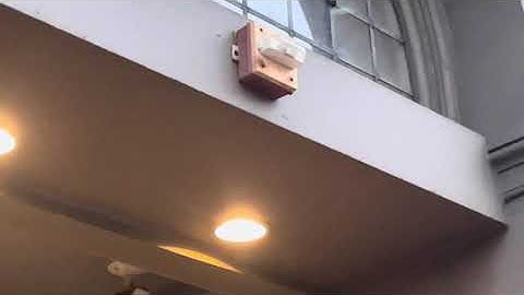 Wheelock RSSWP Flashing on the Outside of a Building