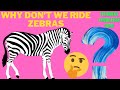 Why we don&#39;t ride zebras?|HAM ZEBRA KI SAWARI KYU NAHI KARTE?| ZEBRA RIDE| TECHNICAL KNOWLEDGE HINDI