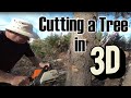 Cutting down a tree in 3d 180 video