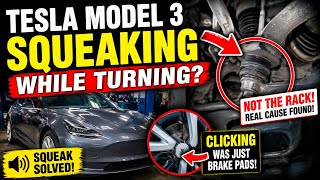 Athlete Statistics Tesla Model 3 Squeaking While Turning?