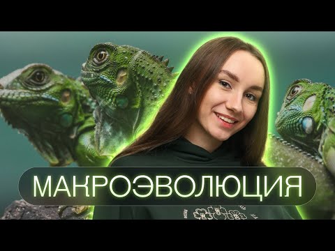 БИОЛОГИЯ ЕГЭ - Макроэволюция