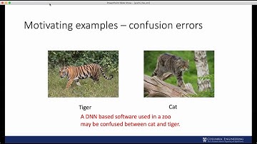 Repairing Confusion and Bias Errors for DNN-Based Image Classifiers (Teaser, ESEC/FSE 2020)