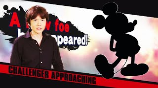 Newcomer LEAKED for Super Smash Bros. Ultimate (4chan)