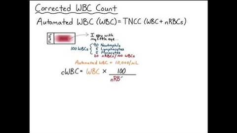 Corrected WBC Count