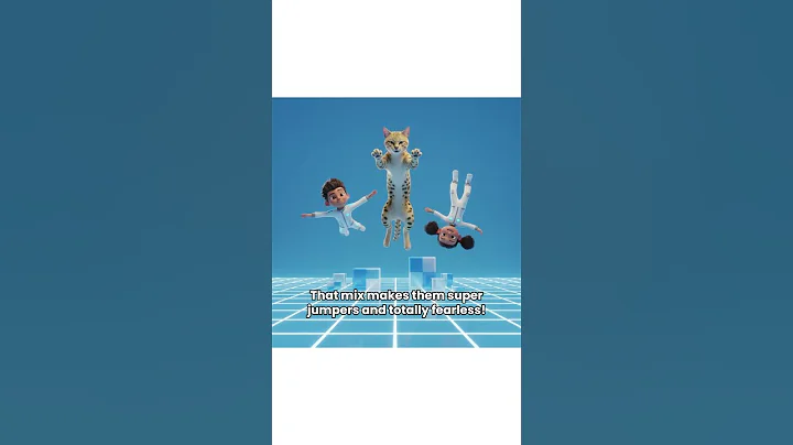 Video 11340661: serval cat pet, wild african serval cat, domestic cat african serval, savannah cat meets, serval mix, giant cat, cat house, f1