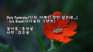 Only Yesterday(단지, 어제인 것만 같은데...)/Isla Grant & 사진 : 김순용 chords