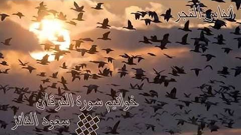 خواتم سوره الفرقان ( مؤثر)