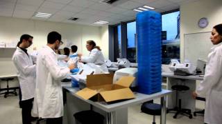 Lipdub Institut Supérieur d'Optique de Lille (ISO Lille)