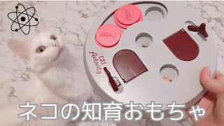 【ペット用知育玩具TRIXIE】猫たちおやつをゲットできるかな？ screenshot 1