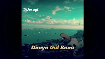 No.1 - Dünya Gül  Bana (Lyrics Edit)❤