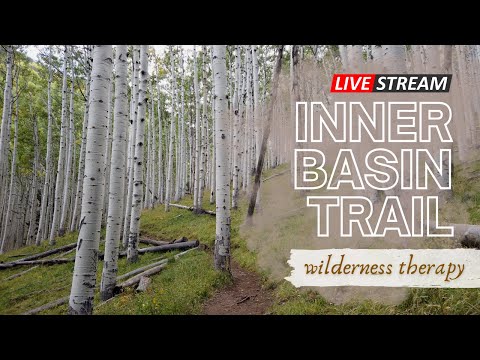 🌲 A Walk Through the Inner Basin Trail, Arizona | WILDERNESS THERAPY for Rest and Meditation