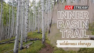 Walk Through the Inner Basin Trail, Arizona | 10 Hours of WILDERNESS THERAPY for Rest and Meditation