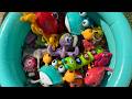 Learn Sea Animals for Kids 🐠 | Ocean Animal Names &amp; Fun Facts for Toddlers and Preschoolers