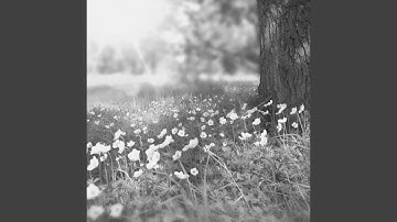 Mind-blowing Backdrops for Resting