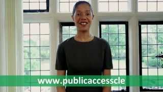 Public Access Clerk