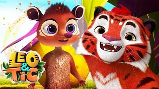 Leo and Tig 🦁 The Royal Aroma ✨ Best episodes 🐯 Funny Family Good Animated Cartoon for Kidsids