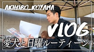 【休日VLOG】おしゃれなカフェに愛犬といってきました【公認会計士】