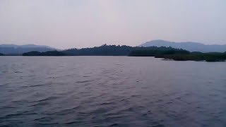 lake dragons
