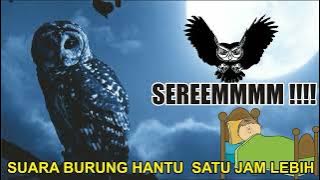 Suara Burung Hantu Pada Malam Hari, Asli Serem...!!!!!!!!