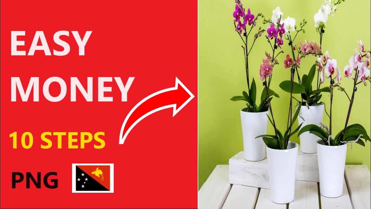 How to make money from Selling Plants and Flowers YouTube