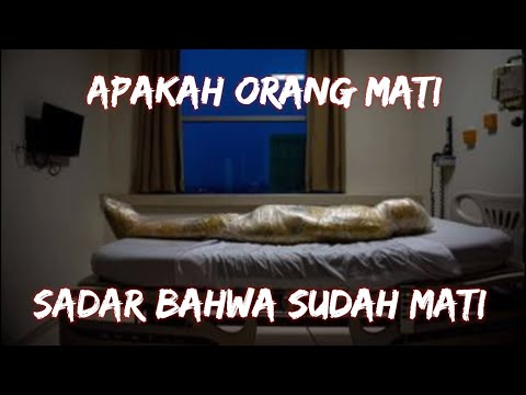 Video: Adakah dies adalah seorang yang sebenar?