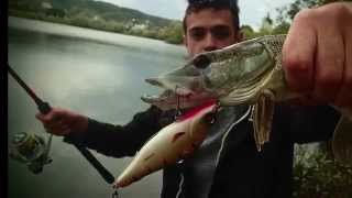 12  Pêche du brochet et de la perche en Haute Normandie